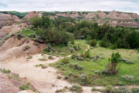 [This portion of the trail is down in the canyon. A dirt path is going through the grass with views of huge rock structures.]